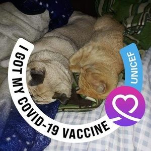 Meet your Posher, Sharon